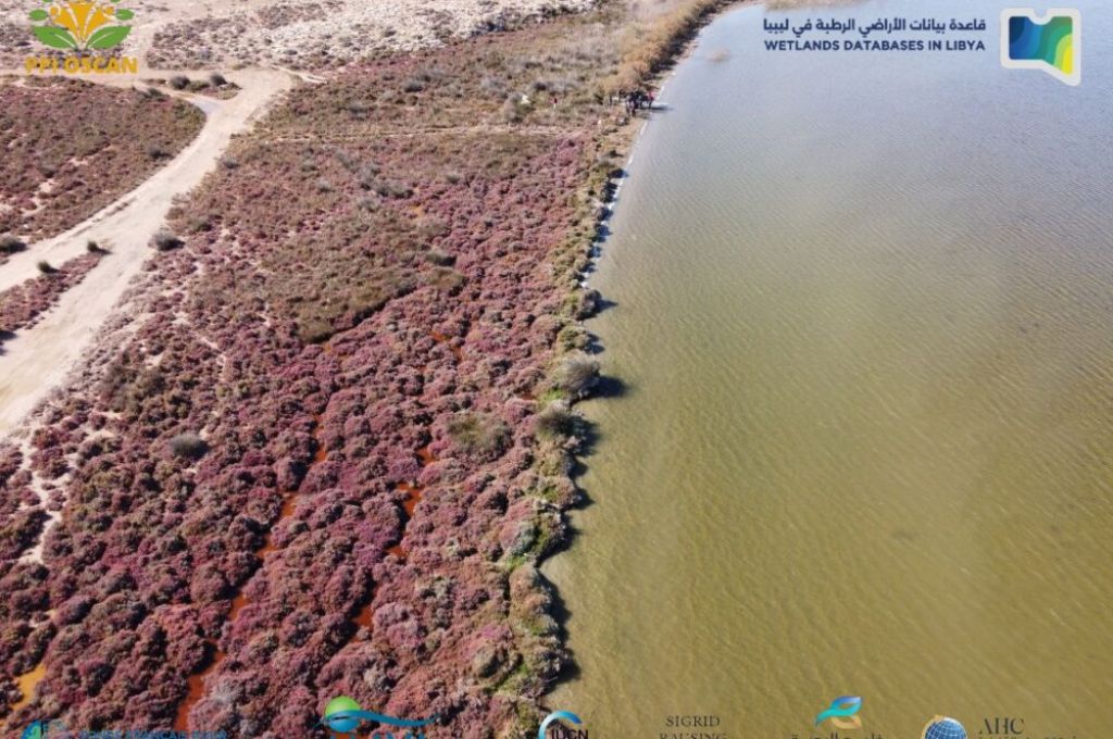 الرئيسية 5 IMG 20230129 211805 0251 e1688684712744 1f5c1a50